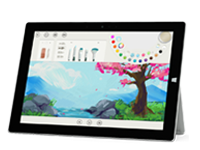 文水Surface 无法开启、Windows 无法启动或电池无法充电